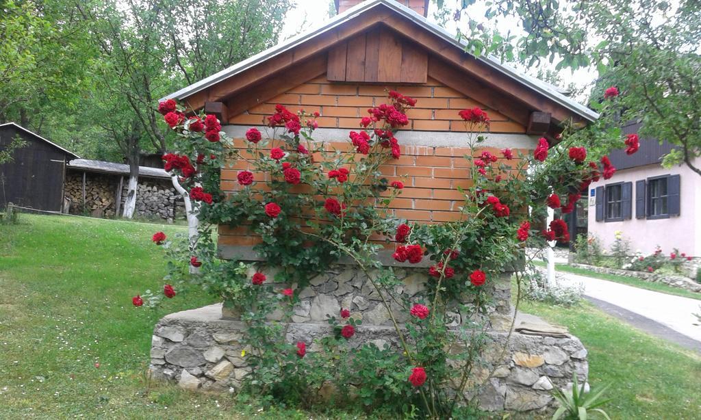 Guesthouse Andrea Poljanak Exteriér fotografie